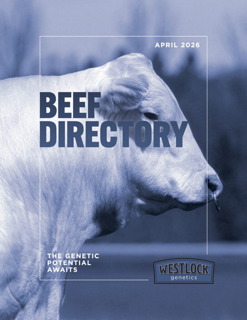 FrontCover2_Westlock-Directory-Beef-0426