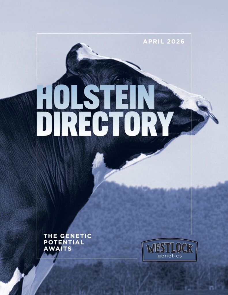 FrontCover_Westlock-Directory-Holstein-0426
