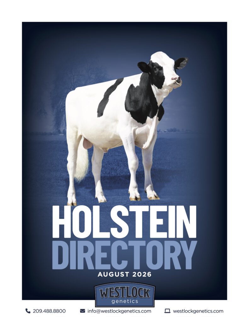 Westlock-Directory-Holstein-0826
